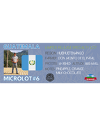 Guatemala - Limited Edition Organic Microlot #6